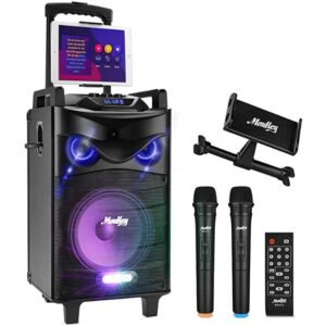 Sistema de altavoces Karaoke 2 micrófonos como regalo tecnológico